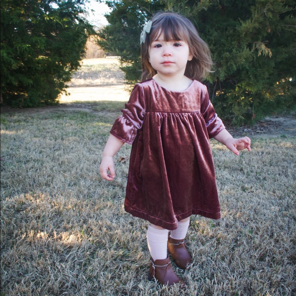 2T Gymboree Velvet Dress